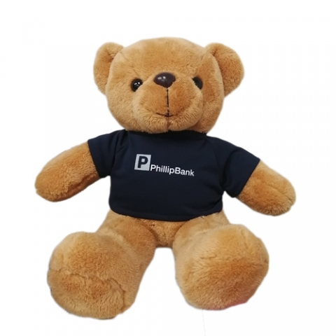 teddy toy