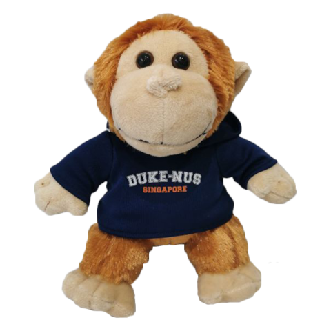 monkey toy